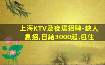 南陽酒吧招聘