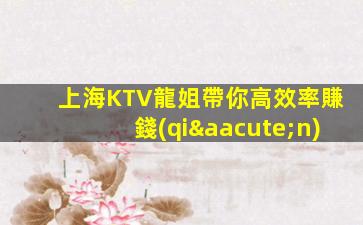 上海KTV龍姐帶你高效率賺錢(qián)