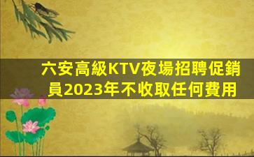 白山夜場招聘