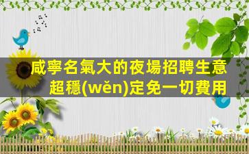 咸寧名氣大的夜場招聘生意超穩(wěn)定免一切費用
