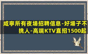 林芝酒吧招聘