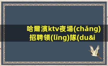 河北KTV招聘