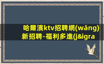 泰安KTV招聘