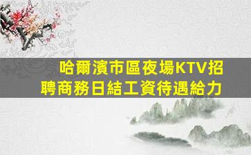 曲靖酒吧招聘