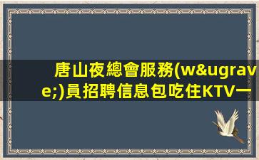徐州夜場招聘