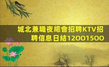 海南酒吧招聘