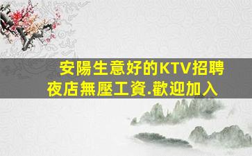 白城酒吧招聘