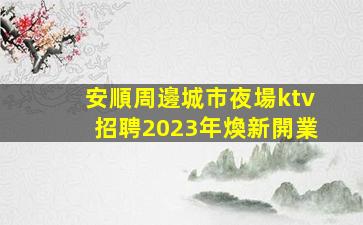 安順周邊城市夜場ktv招聘2023年煥新開業