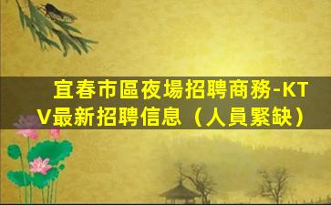 朝陽酒吧招聘