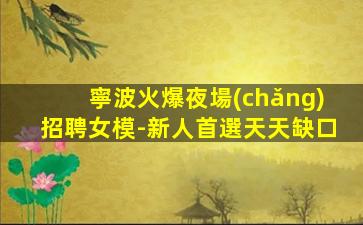 沈陽(yáng)夜場(chǎng)招聘