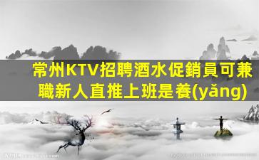 貴州KTV招聘