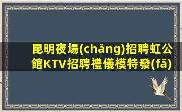 溫州夜場(chǎng)招聘