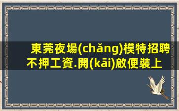 梧州酒吧招聘