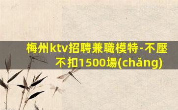 蘇州夜場(chǎng)招聘