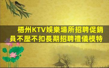 拉薩酒吧招聘
