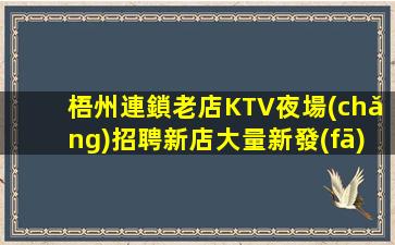 寶雞酒吧招聘
