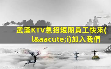 吳忠夜場(chǎng)招聘