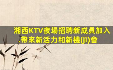 玉林酒吧招聘