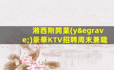 安陽KTV招聘