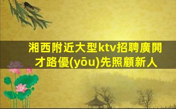 泰安夜場招聘