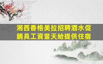 張家界酒吧招聘