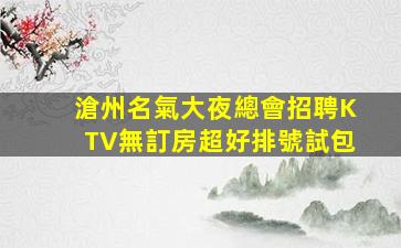吐魯番酒吧招聘