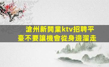 襄陽酒吧招聘