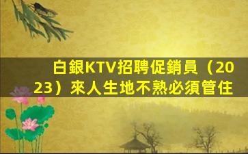 海口夜場招聘