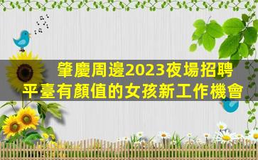 濮陽夜總會招聘