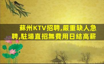 三亞酒吧招聘