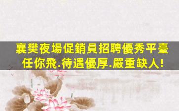 三明夜總會招聘