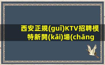 宜賓夜場(chǎng)招聘