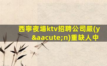 西寧夜場ktv招聘公司嚴(yán)重缺人中