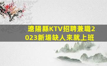 曲靖夜場招聘