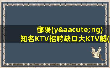 安康夜總會(huì)招聘