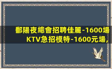 菏澤KTV招聘