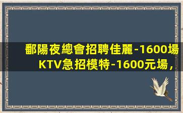 菏澤KTV招聘