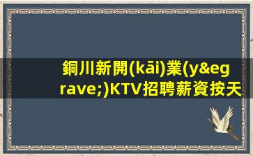 銅川新開(kāi)業(yè)KTV招聘薪資按天結(jié).晚班可兼職