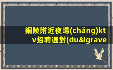 朔州酒吧招聘