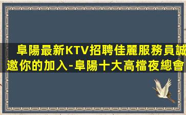 保定酒吧招聘