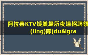 晉中KTV招聘