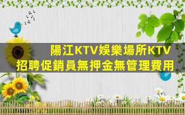 河源酒吧招聘
