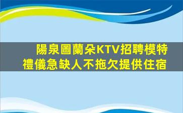 紹興酒吧招聘