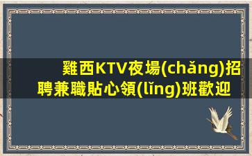濱州酒吧招聘
