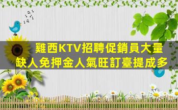 保山KTV招聘