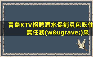 長春KTV招聘