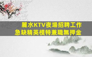 惠州酒吧招聘