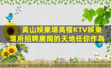 三沙酒吧招聘