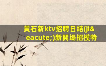 遵義KTV招聘